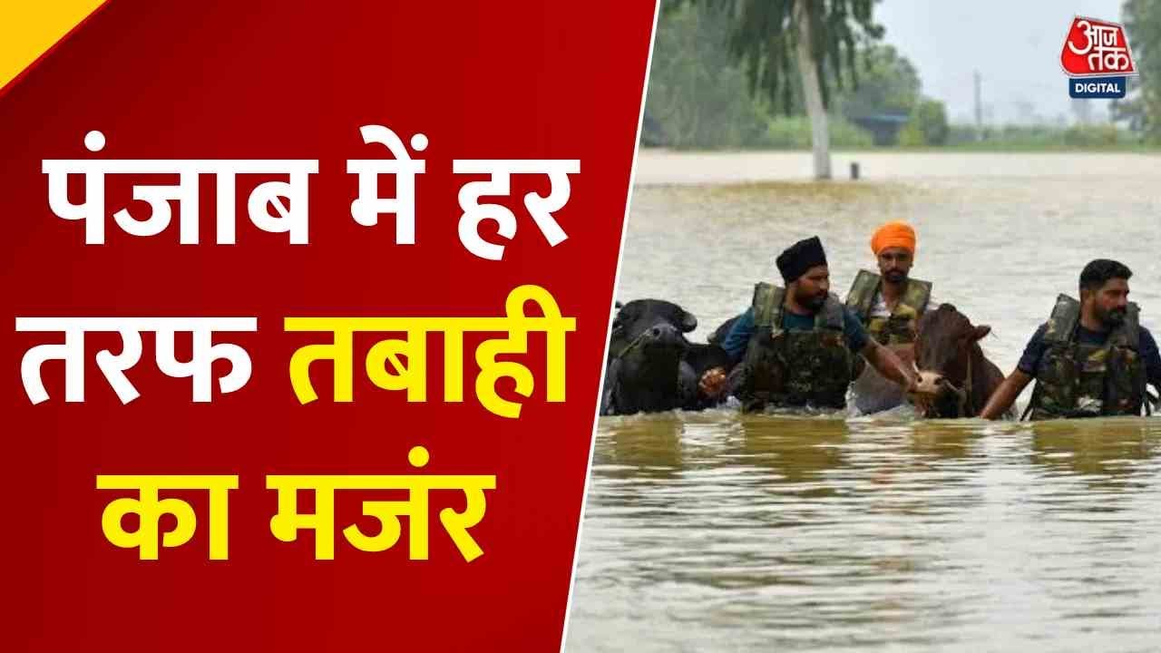 पंजाब में बाढ़ का कहर, 37 साल बाद इतनी बड़ी त्रासदी ने घेरा