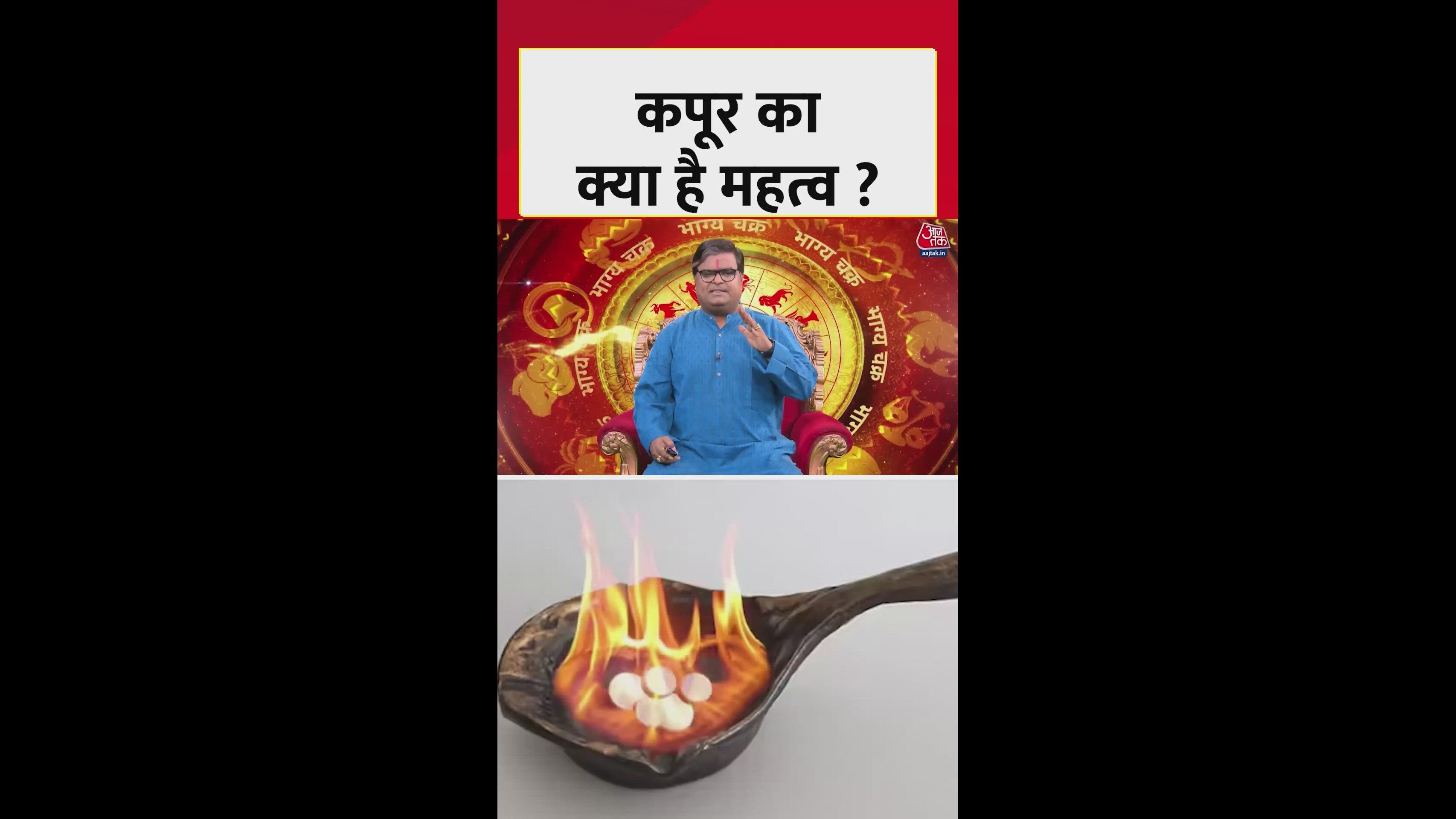 What is camphor and its importance