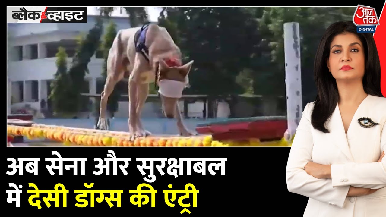 150 desi commando dogs deployed at the border!