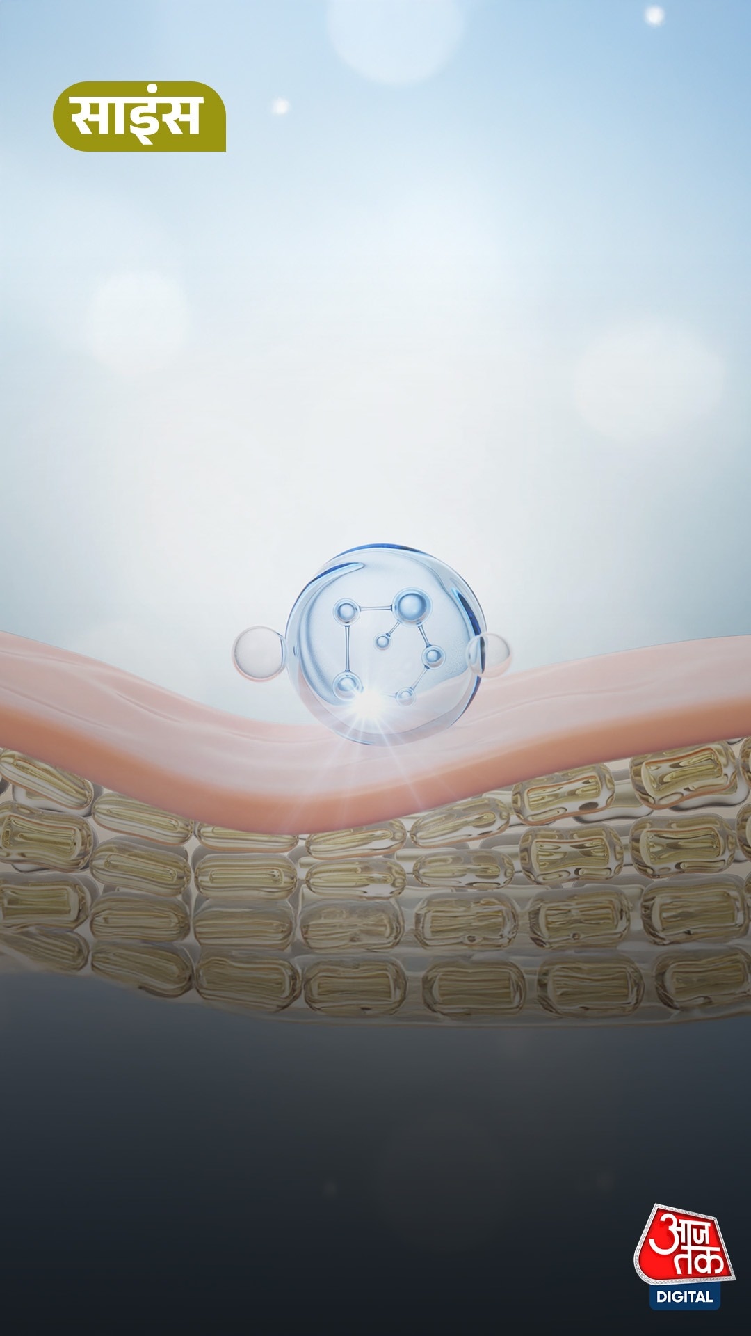 Skin Cells से इंसानी अंडे बनाने में सफलता, जानें...