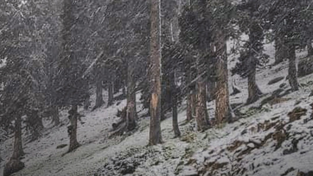 kashmir uttarakhand himachal snowfall
