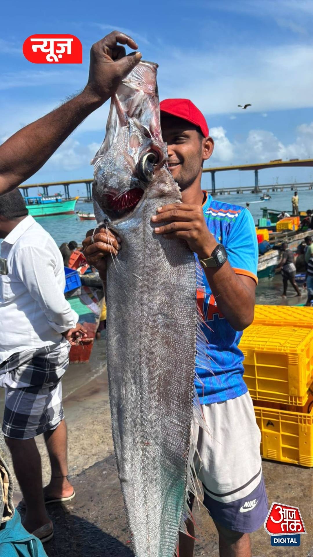 समुद्र से मिली बेहद ‘अशुभ’ मछली