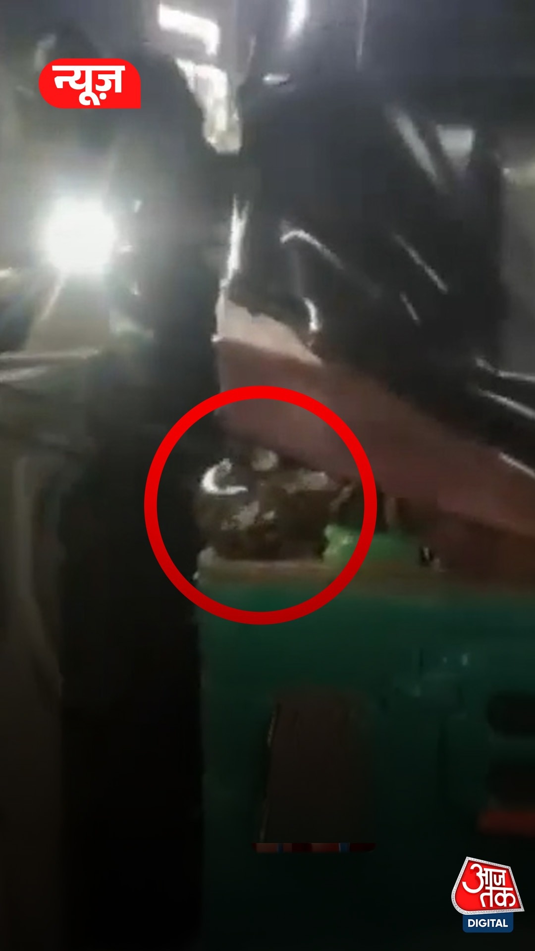 हापुड़: चलते ऑटो से निकला अजगर