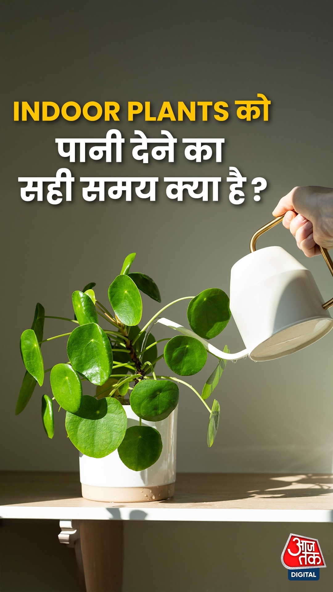 Indoor Plants को पानी देने का सही समय क्या है?