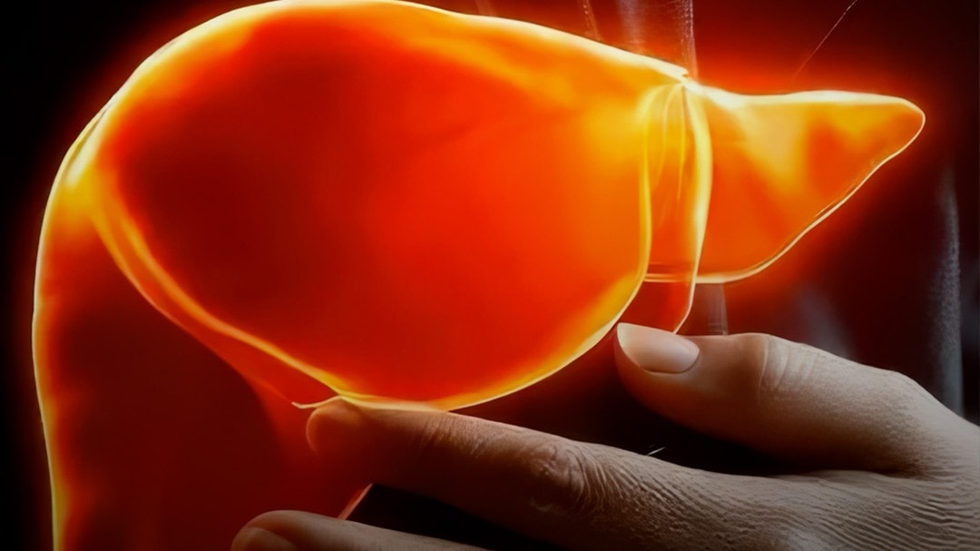 Liver के लिए खतरनाक ये 1 मीठी चीज