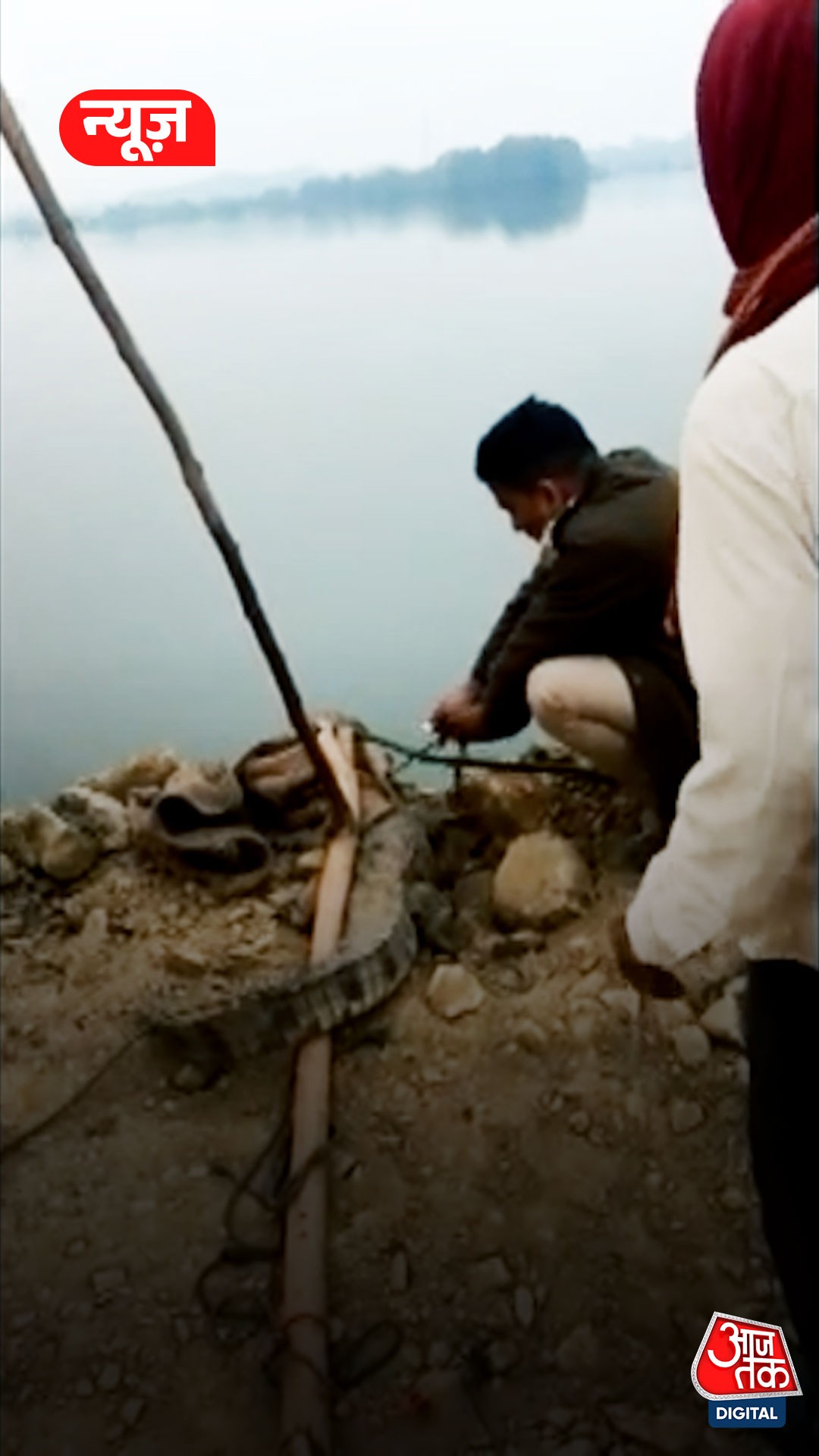 झांसी के मार्केट में घुसा मगरमच्छ