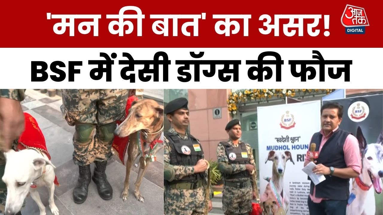 Desi dog Riya won the gold medal by beating 116 other dogs.