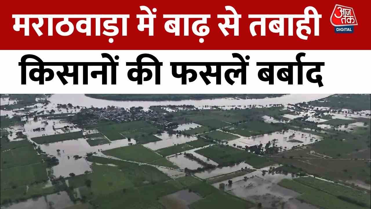 सोयाबीन, कपास की फसलें डूबीं... मराठवाड़ा में बाढ़ से किसान बेहाल; रिपोर्ट