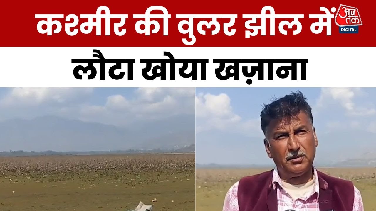 जम्मू-कश्मीर: वुलर झील में लौटा ये खोया हुआ 'खजाना', देखें रिपोर्ट