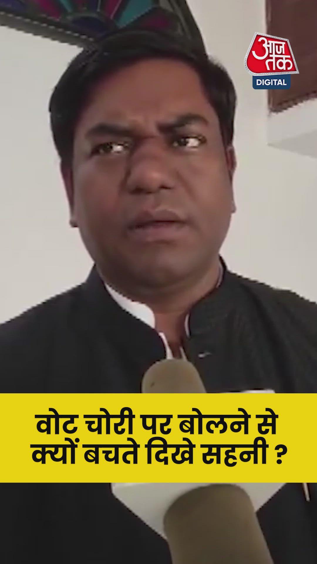 Understanding the case of vote theft in democracy