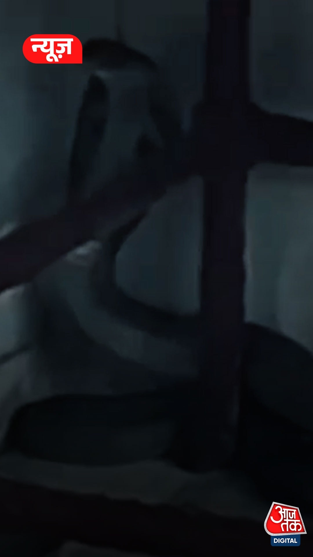 मंदिर में दिखा सांप, लोगों ने शुरू कर दी पूजा