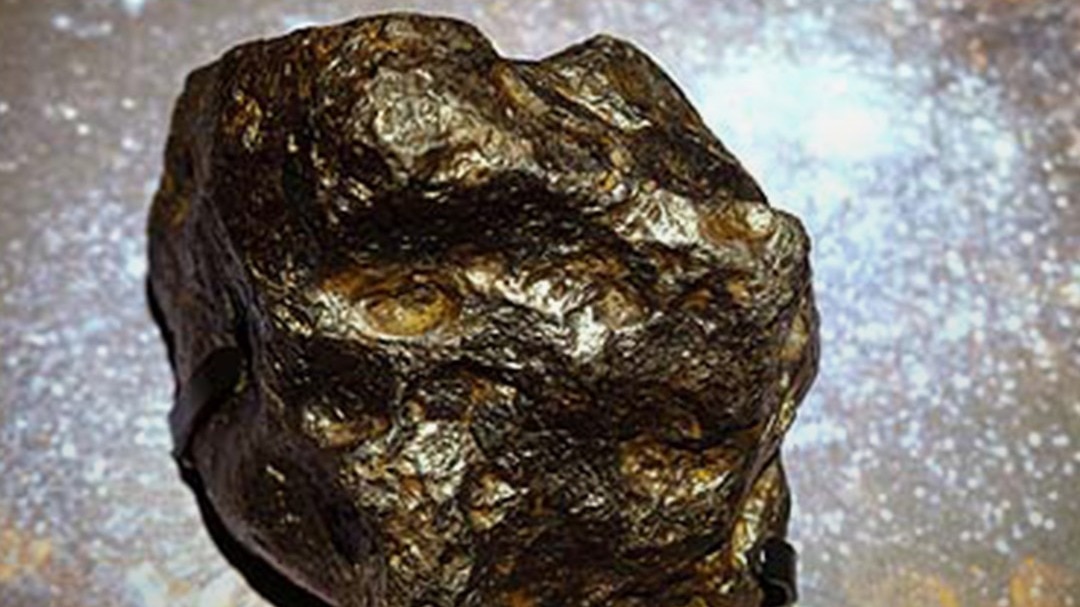 नई खोज: “हम धरती पर नहीं जन्मे, अंतरिक्ष से आए”