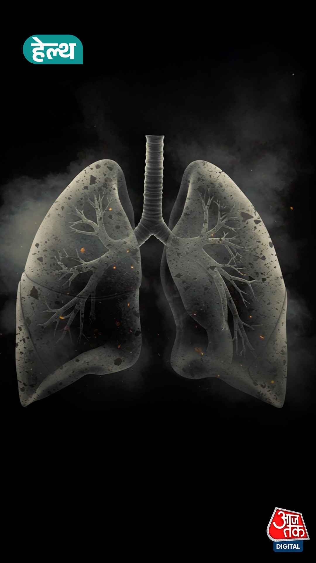 Lungs