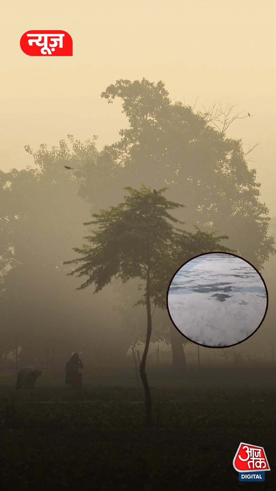 Delhi Pollution: खराब AQI, यमुना में दिखा toxic झाग