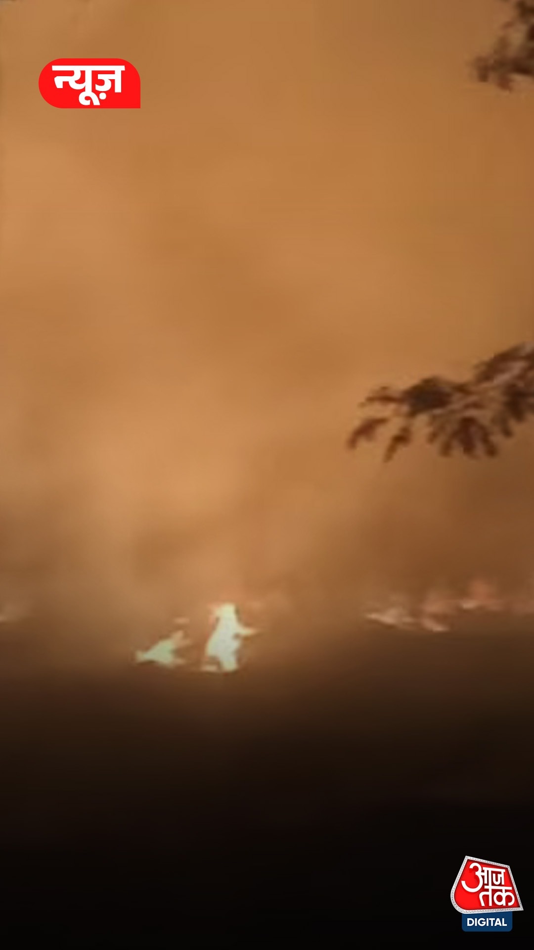 कौशांबी में पराली जलाने पर 13 किसानों पर कार्रवाई