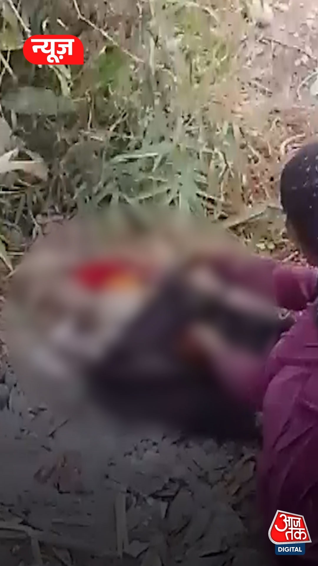 झाड़ियों में मिला नवजात शिशु का शव