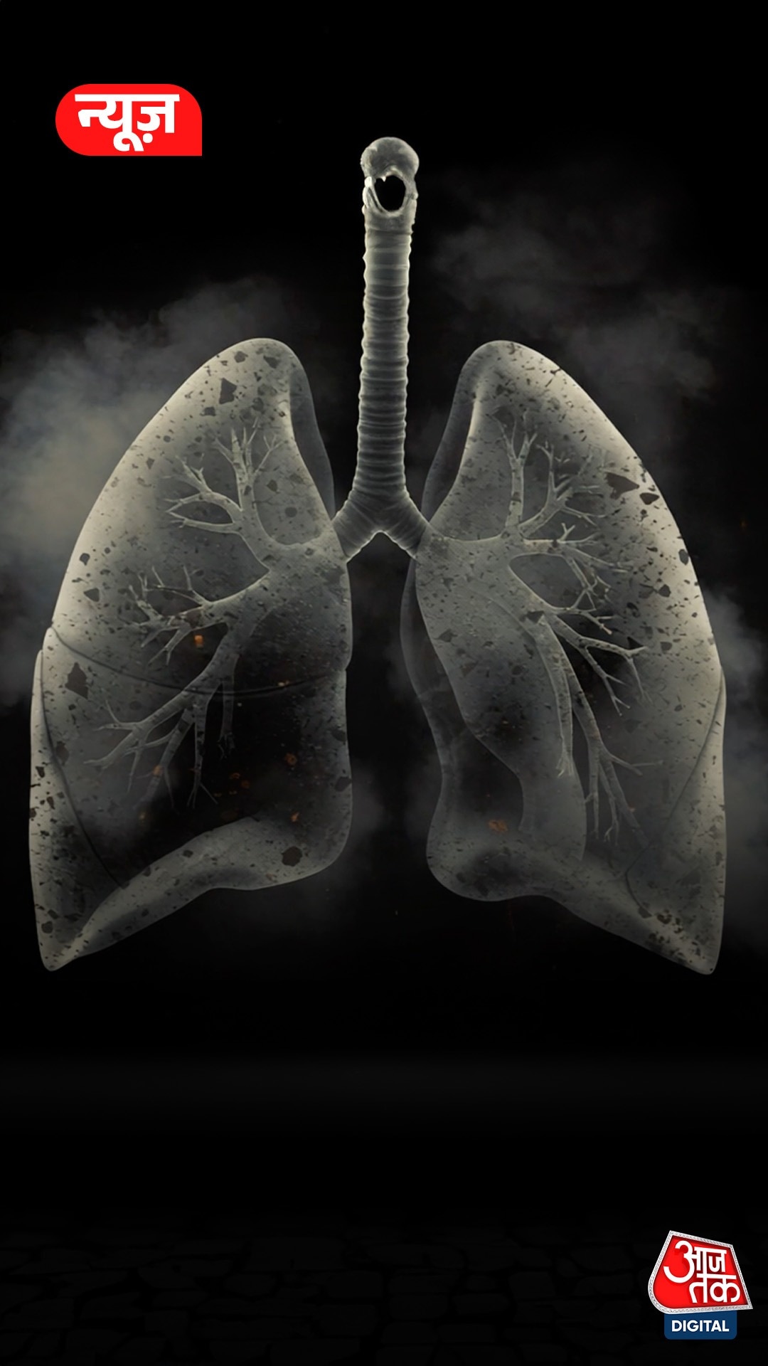Lungs