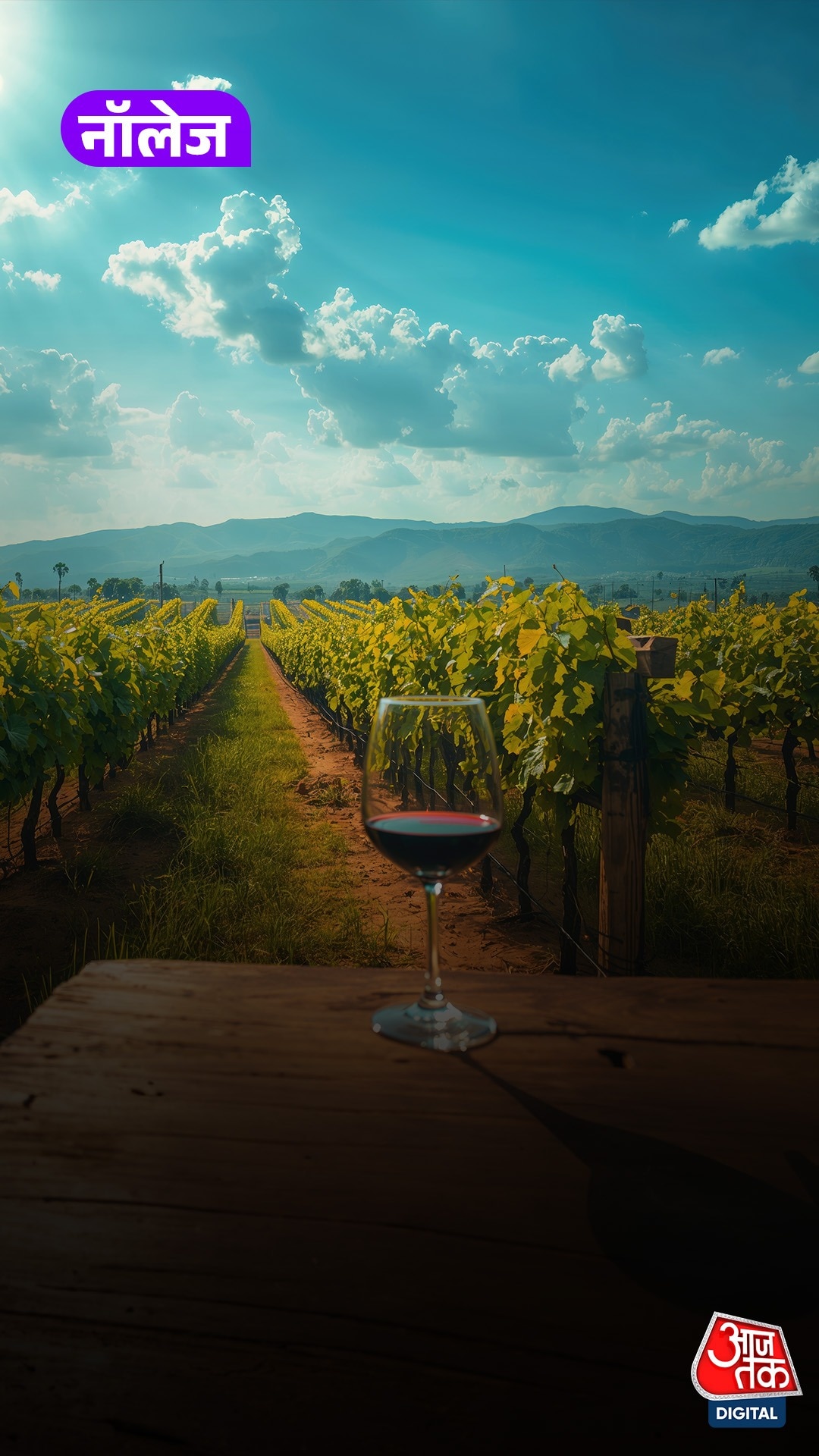 Nashik क्यों कहलाता है India's Wine Capital? जानें...