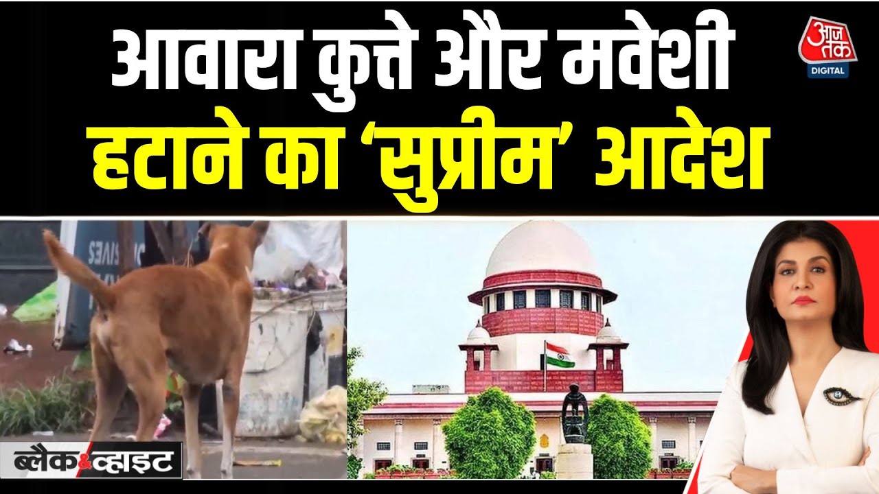 आवारा कुत्तों और मवेशियों पर सुप्रीम कोर्ट का बड़ा फैसला, देखें क्या कहा?