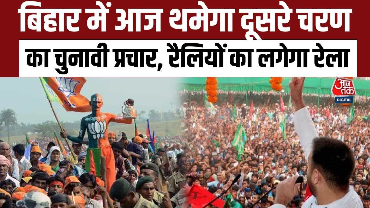 In the first phase, the forest regime has received a shock of 65 volts.