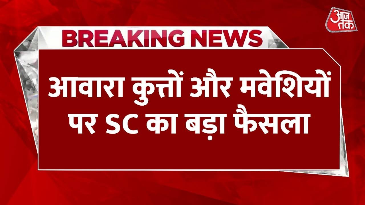 Stray dogs should be sent to designated shelters: Supreme Court