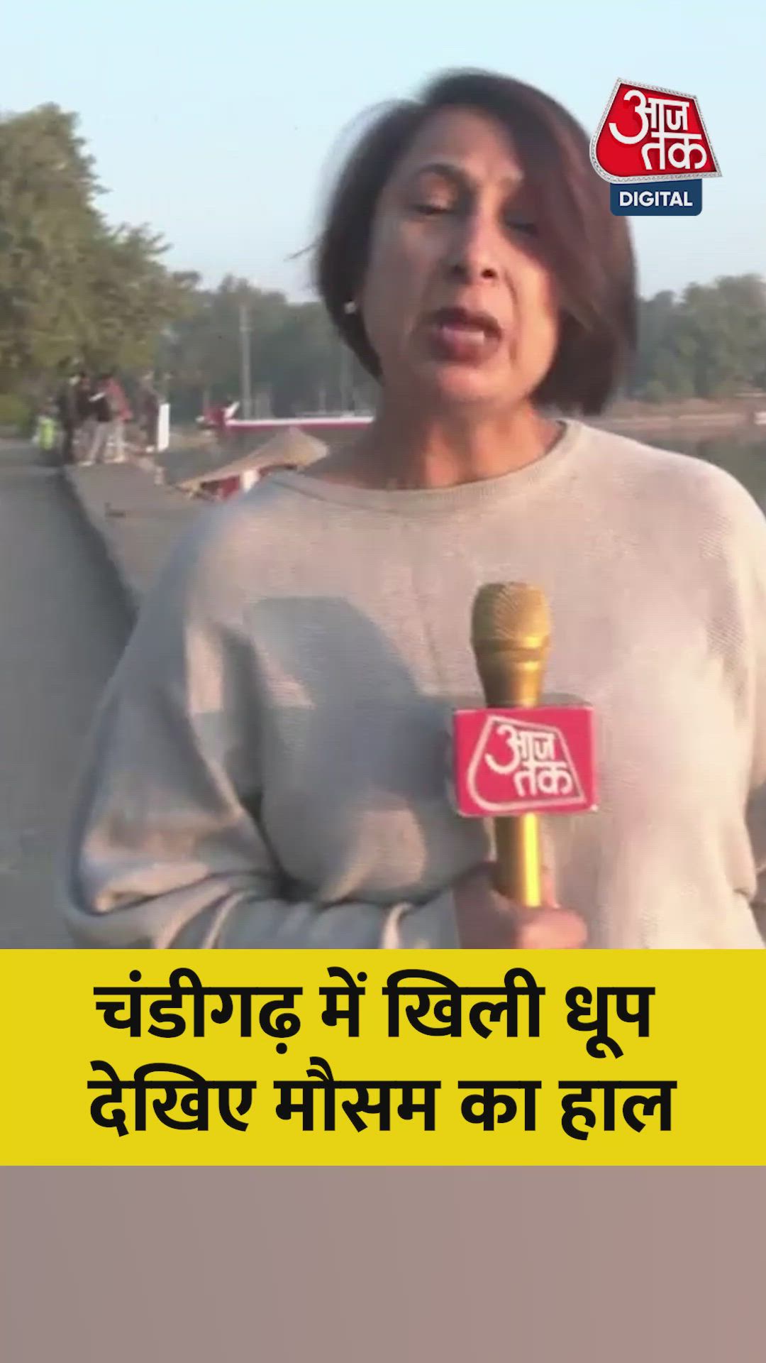 Cold wave expected in North India with sunny weather in Chandigarh