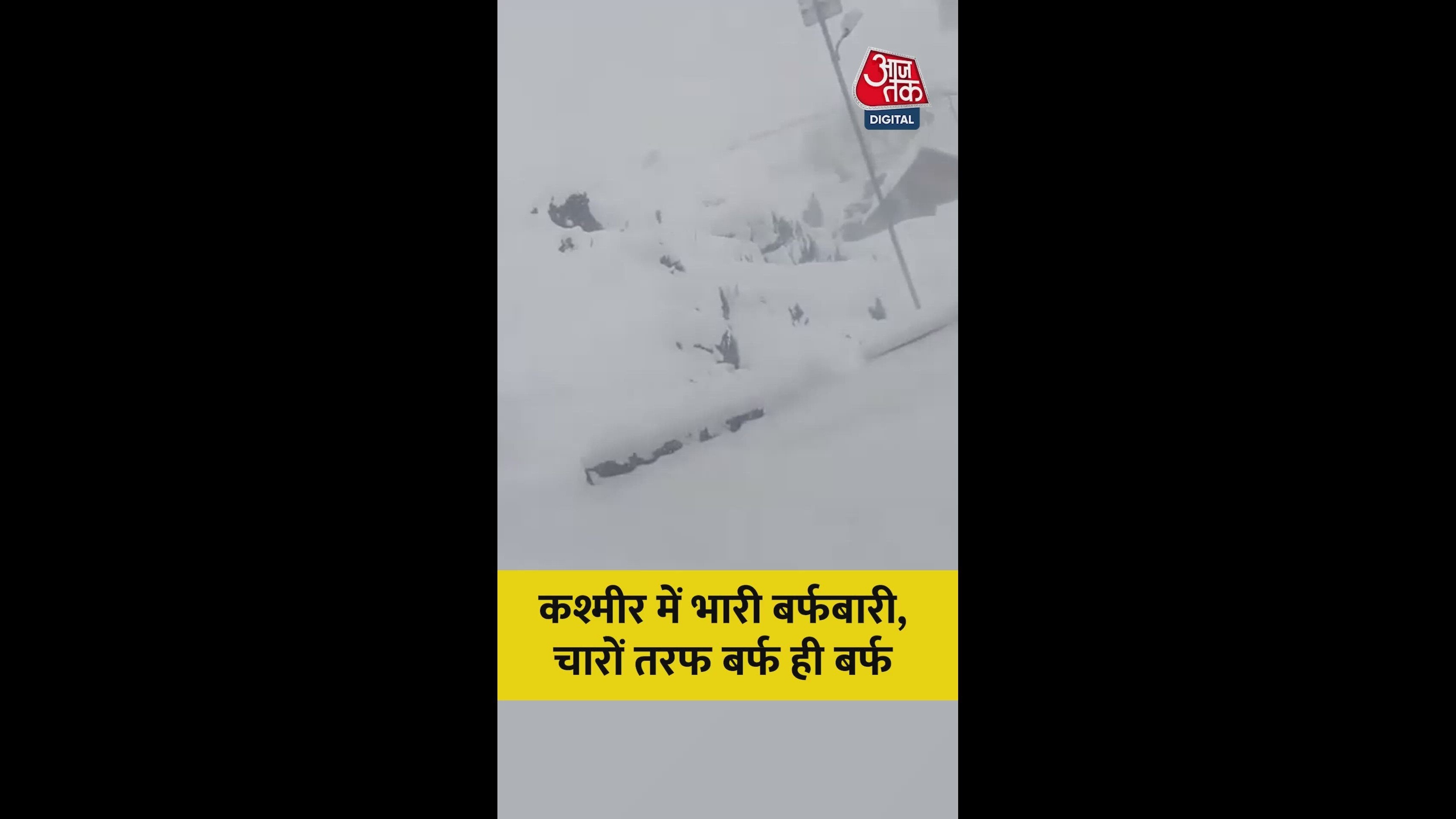 Who should we go to for tuition