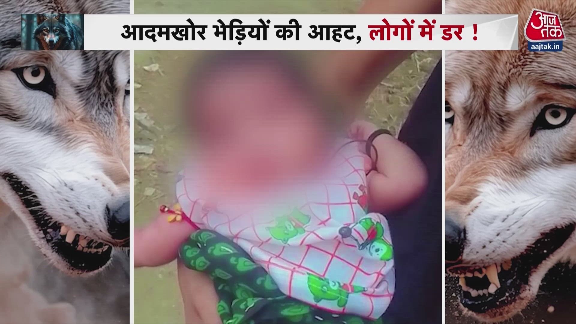 fear of man-eating wolves in bahraich up