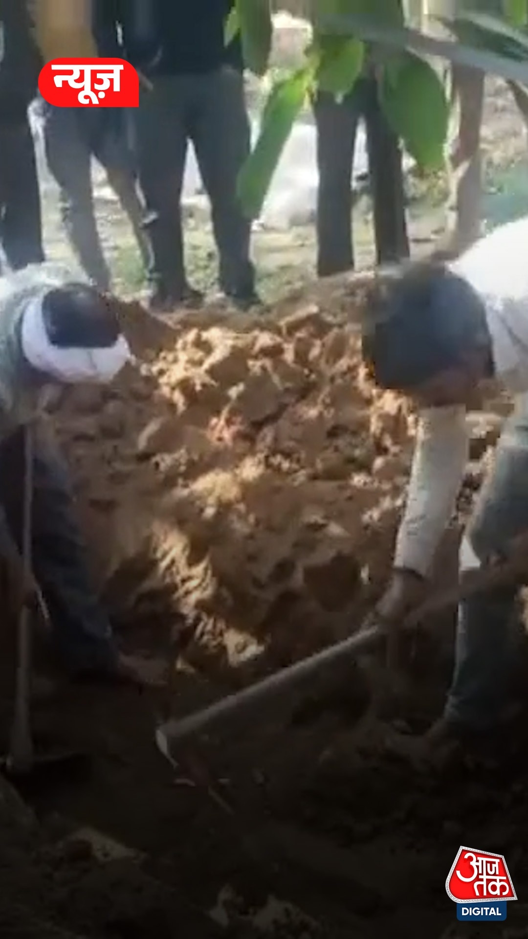 6 महीने बाद कब्र से क्यों निकाली शख्स की लाश? 