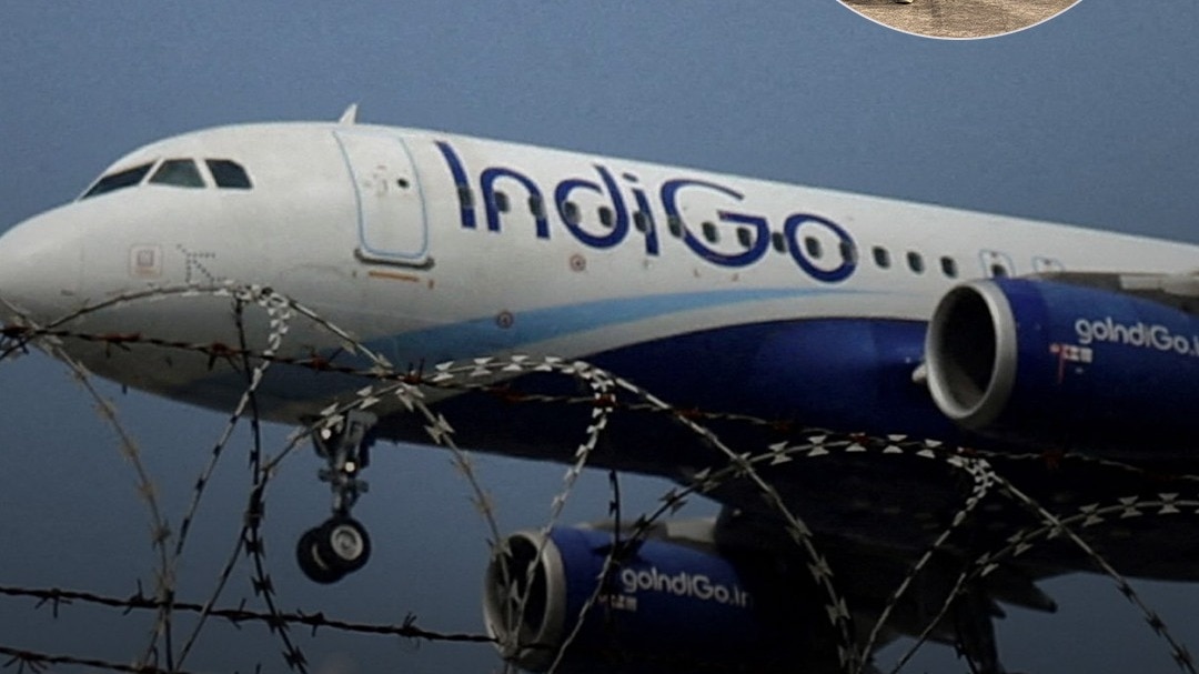 Indigo