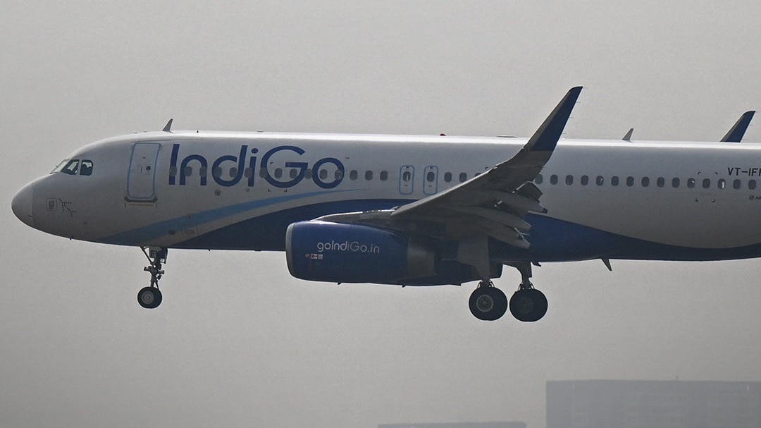 Indigo