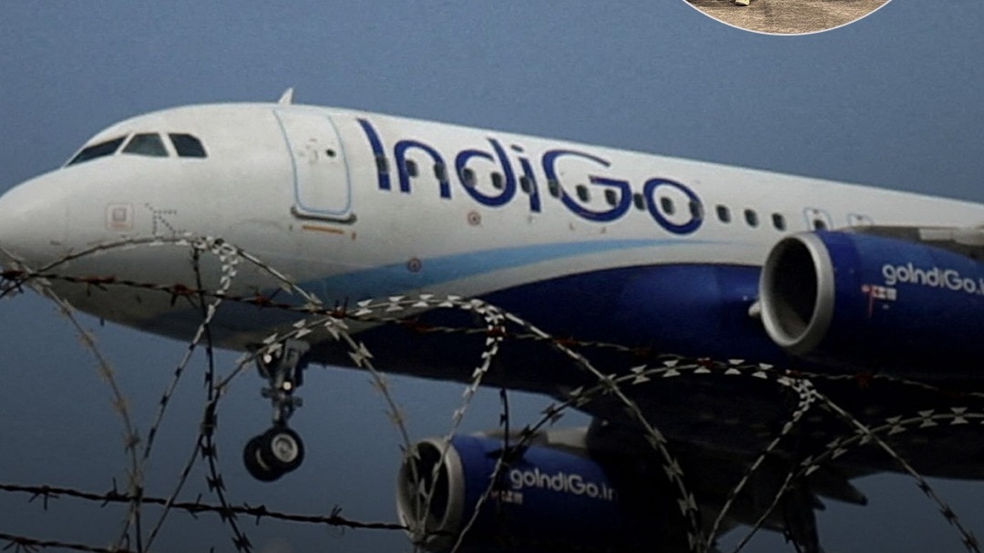 Indigo