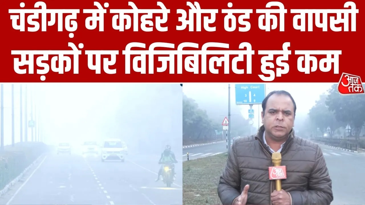 Fog and cold return in Chandigarh after two days of relief