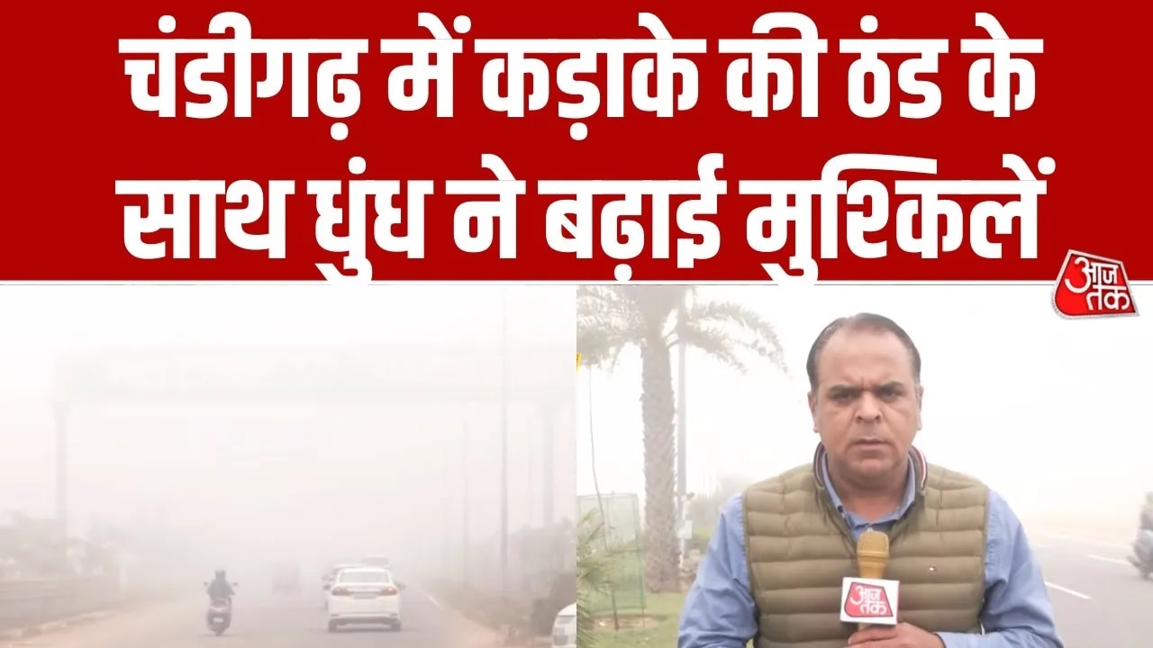 Dense fog in Chandigarh slows city traffic