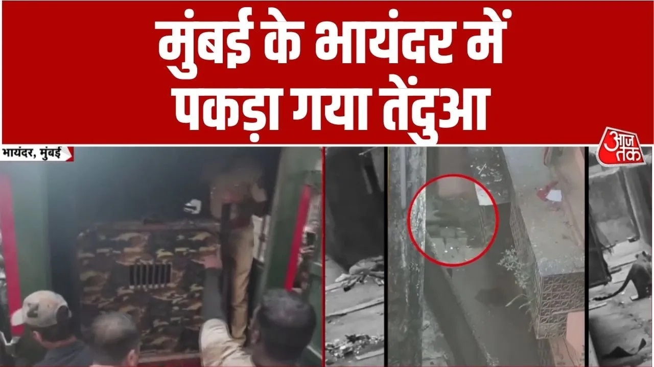 leopard enters densely populated area in mumbai bhayandar east