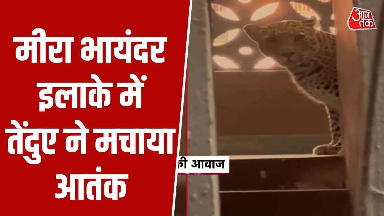 Leopard enters building in Mira Bhayandar Mumbai and injures four people