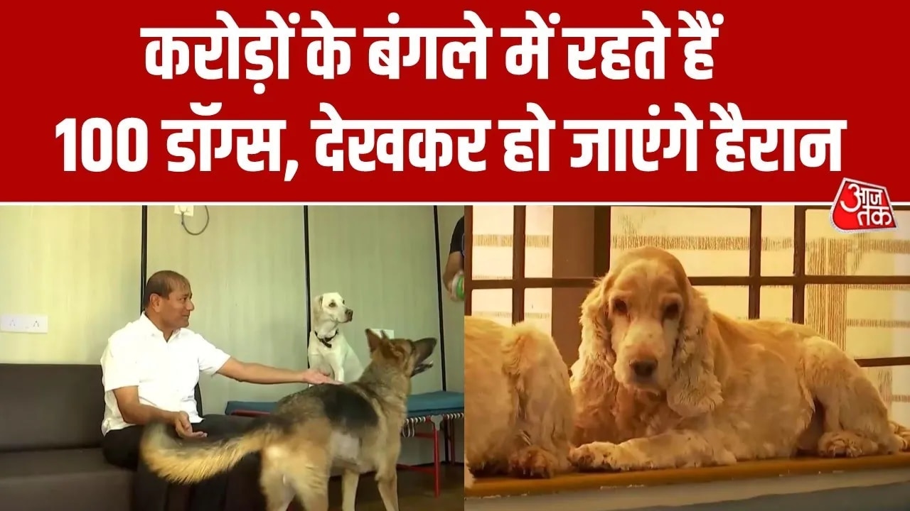 A luxurious bungalow for dogs near Lonavala