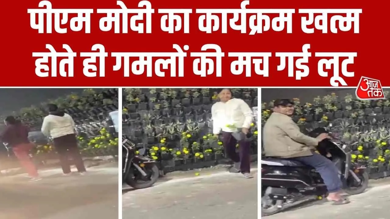 potted plants stolen after pm modi event in lucknow