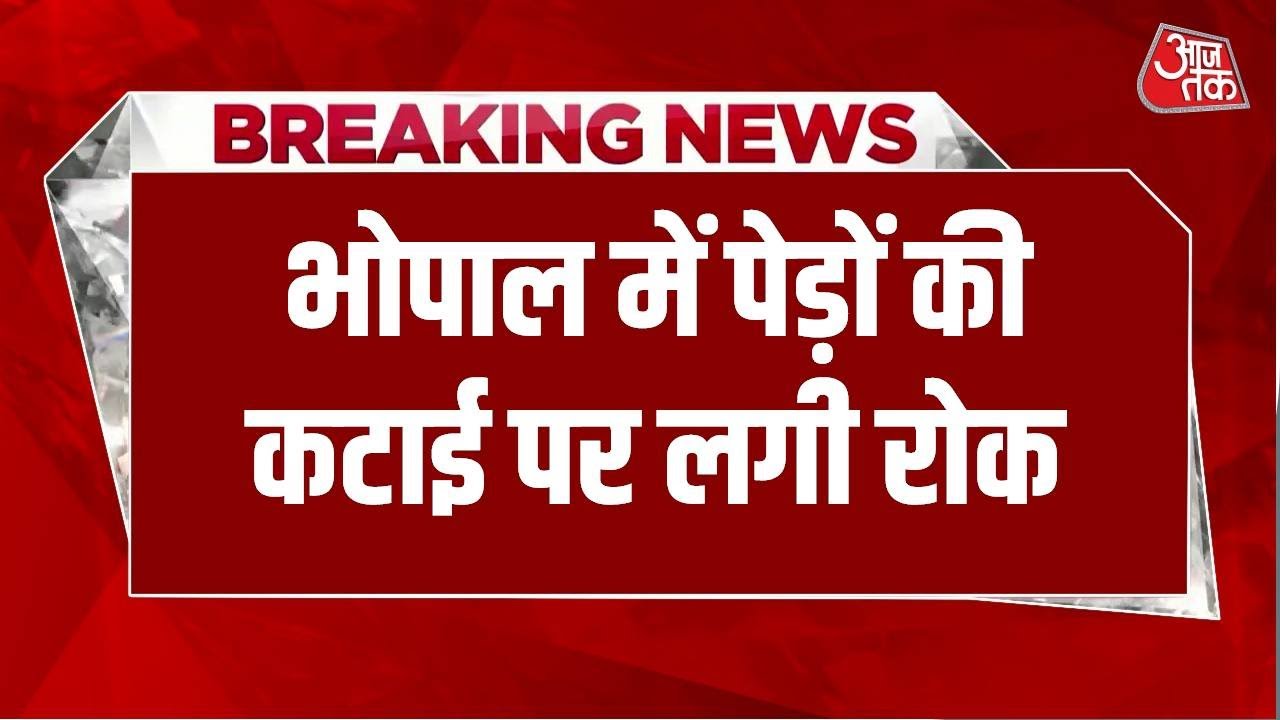 Aravalli hills dispute echoes as tree cutting halted in Bhopal