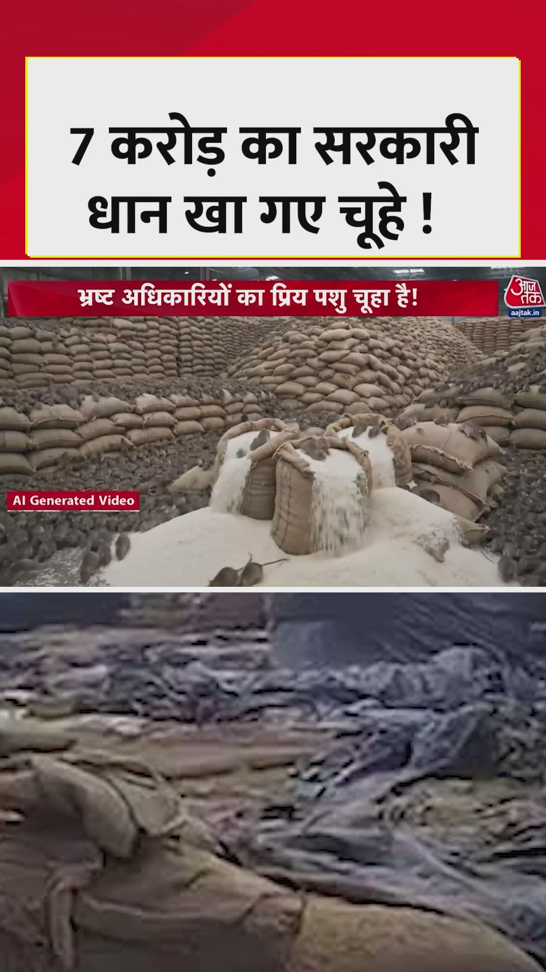 7 करोड़ का धान गायब, ठीकरा चूहे पर फोड़ा!