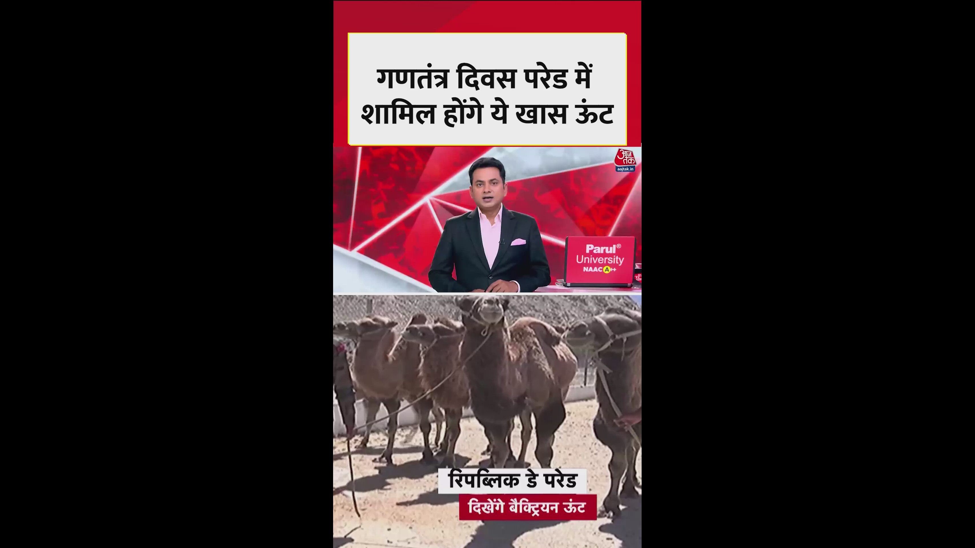 Bactrian camels deployed in Ladakh cold deserts for Republic Day parade