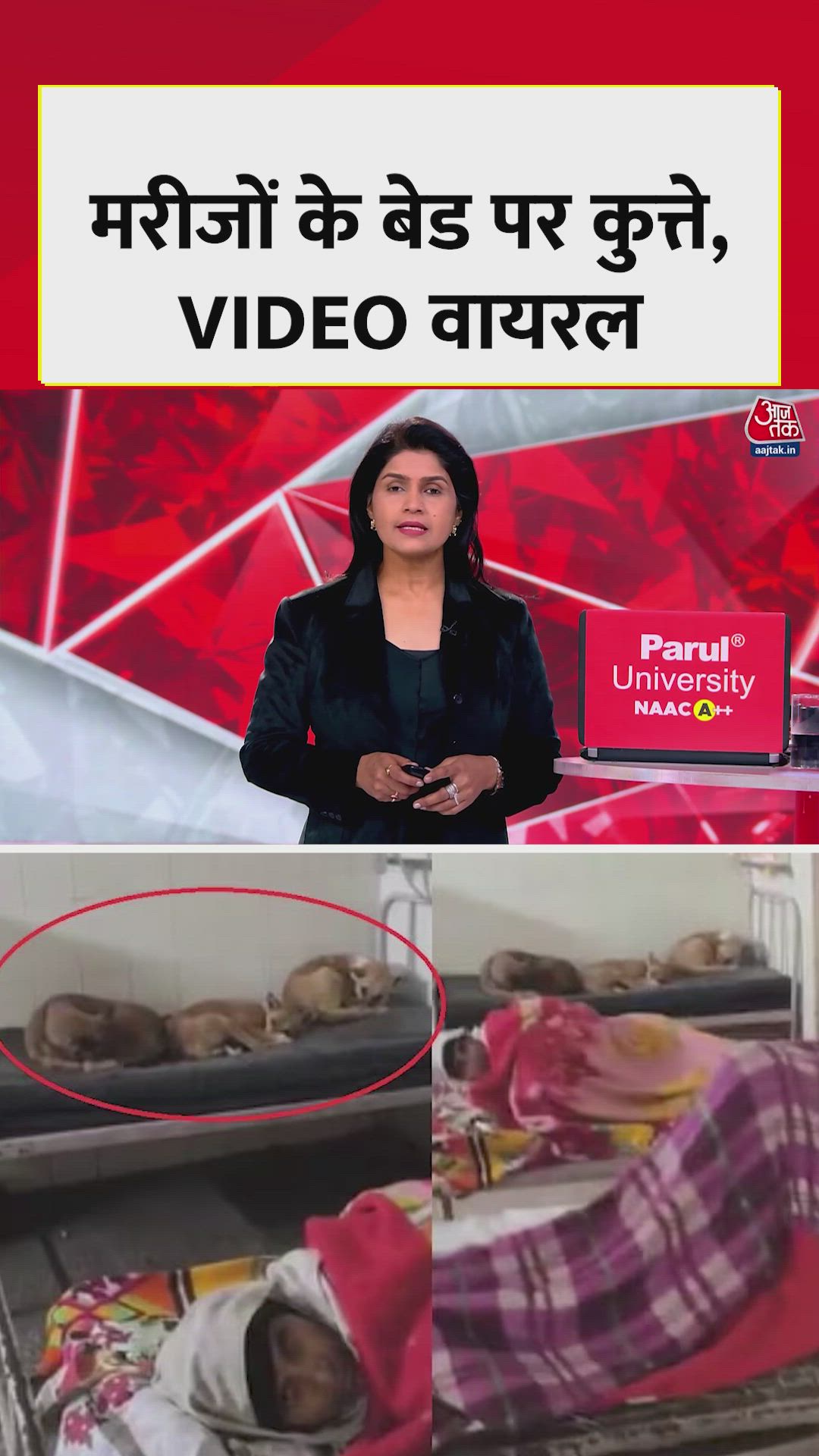 dogs lying on empty beds at gonda medical college hospital ward