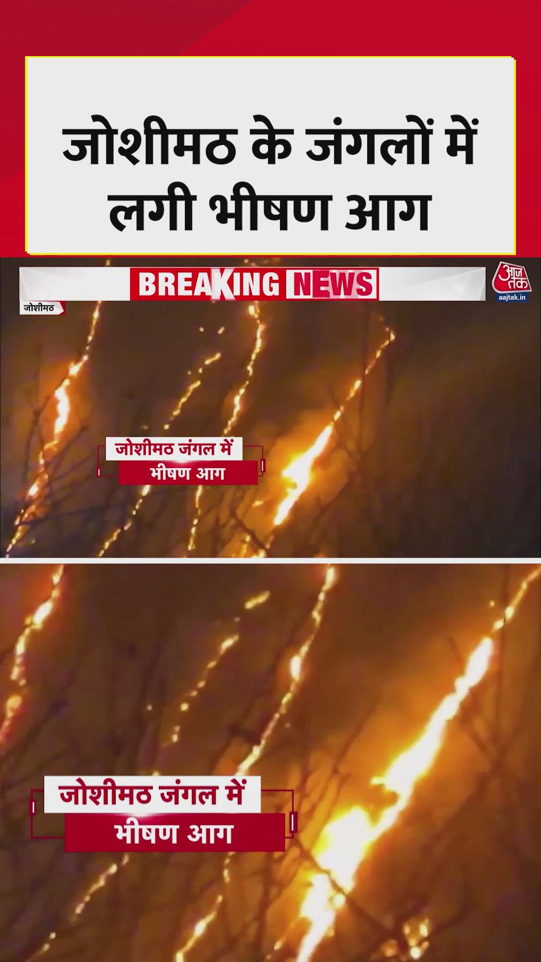 Forest fires continue in Joshimath during severe cold in the mountains.