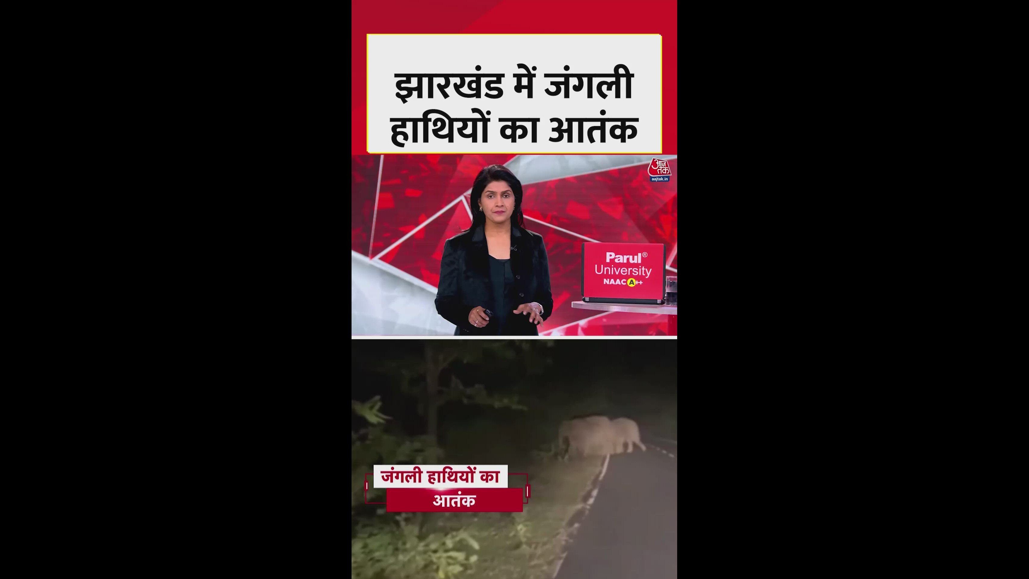 Large menace of wild elephants in garhwa district of jharkhand