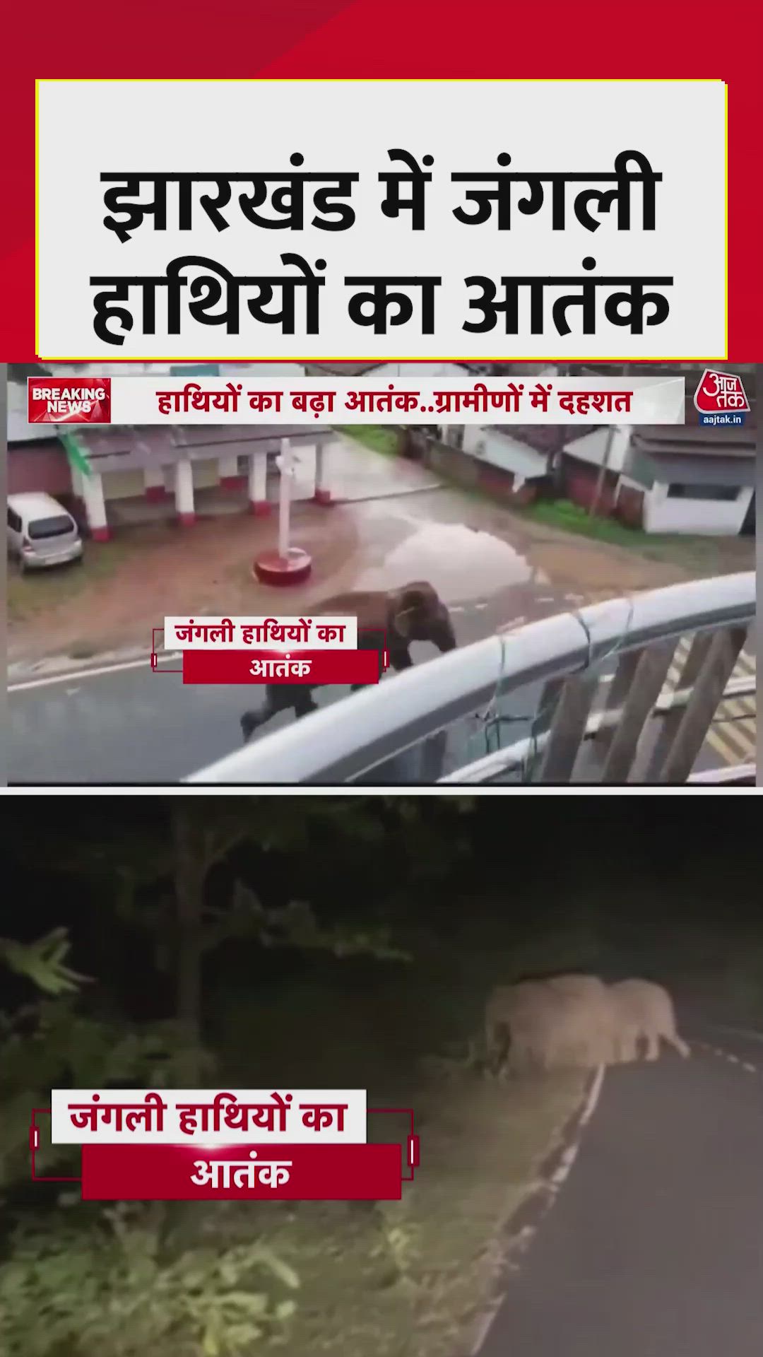 Large menace of wild elephants in garhwa district of jharkhand