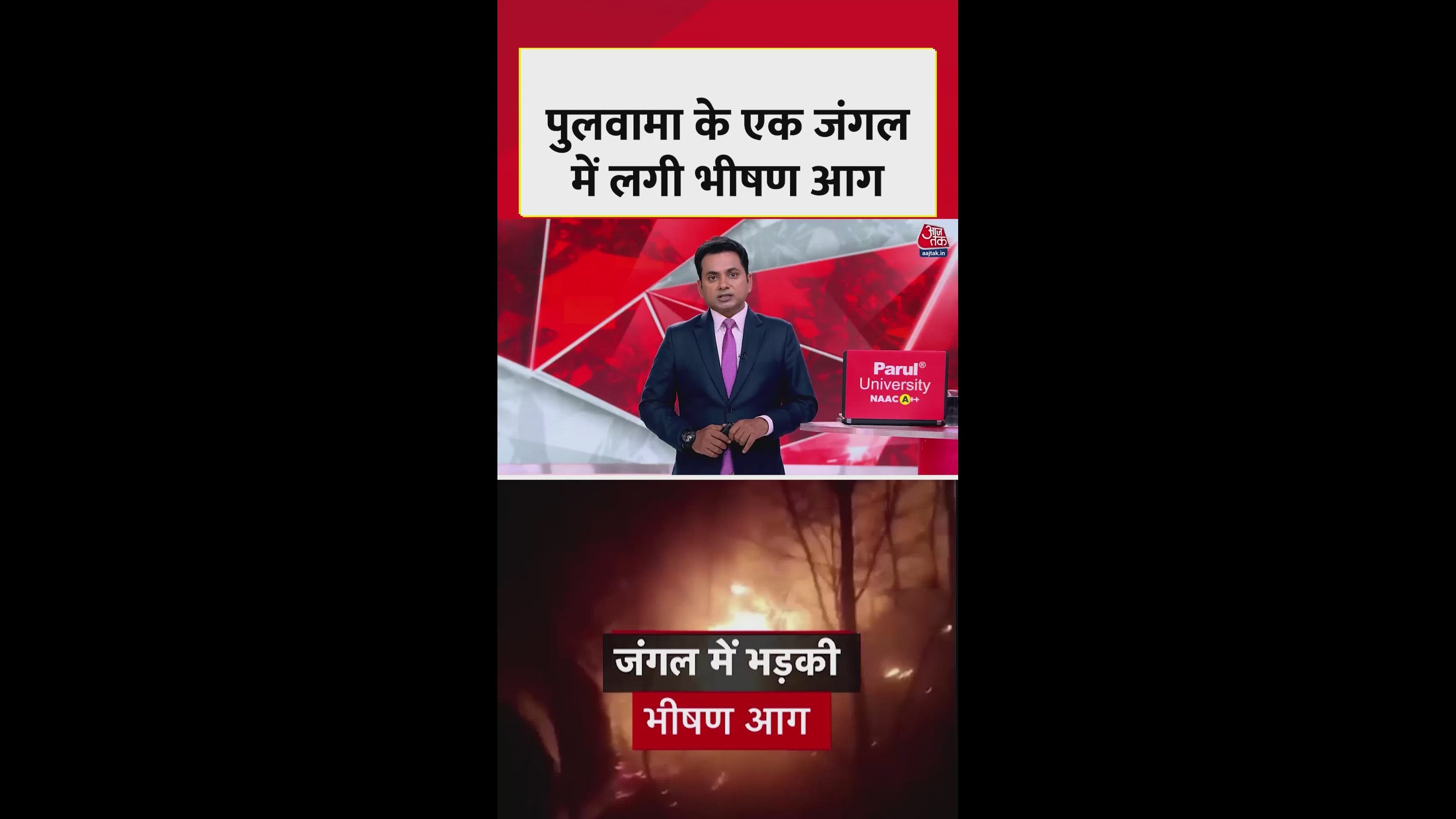 Wildfire breaks out near border in Pulwama district forest