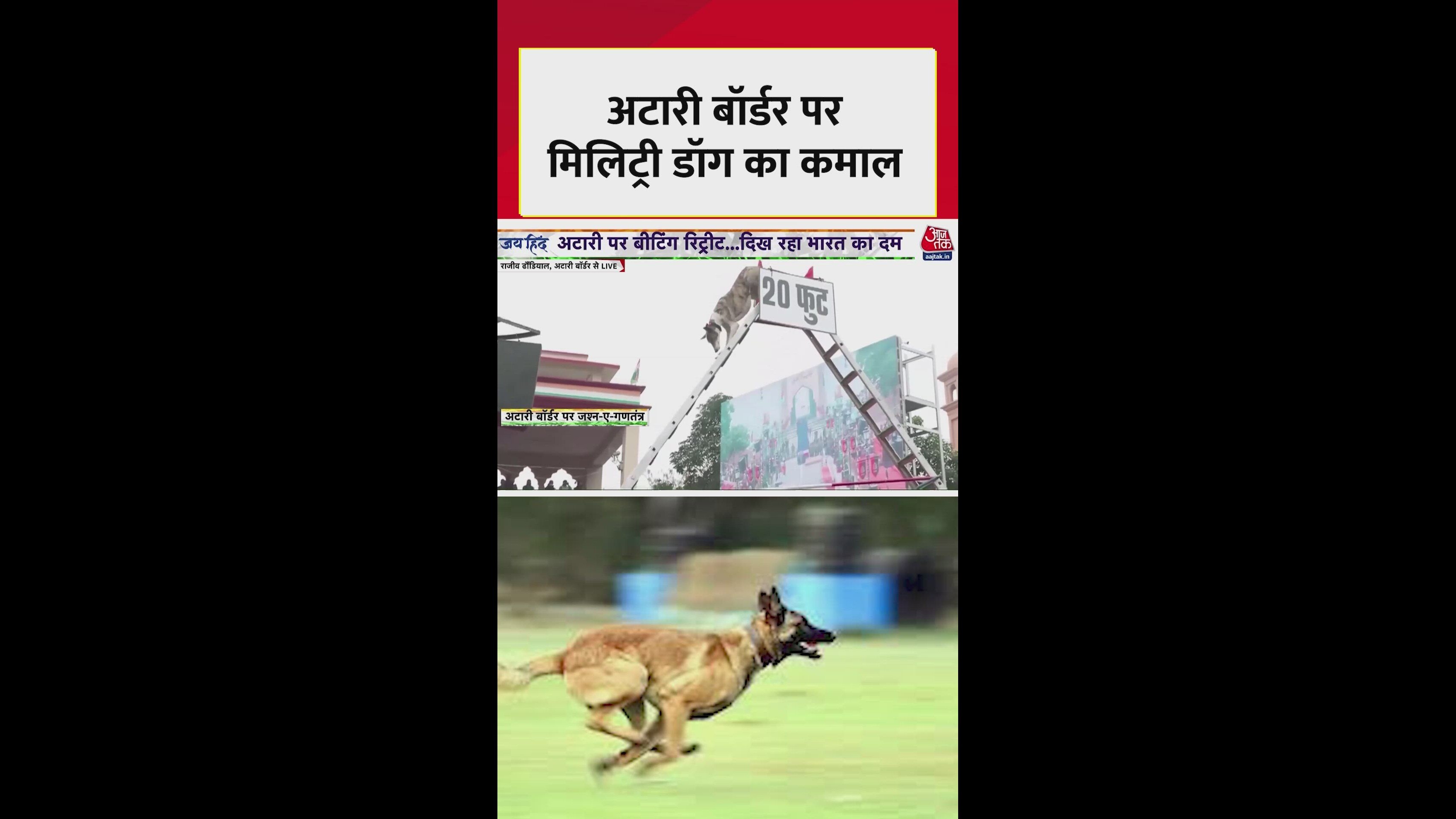 Training and amazing dog feats before beating retreat ceremony