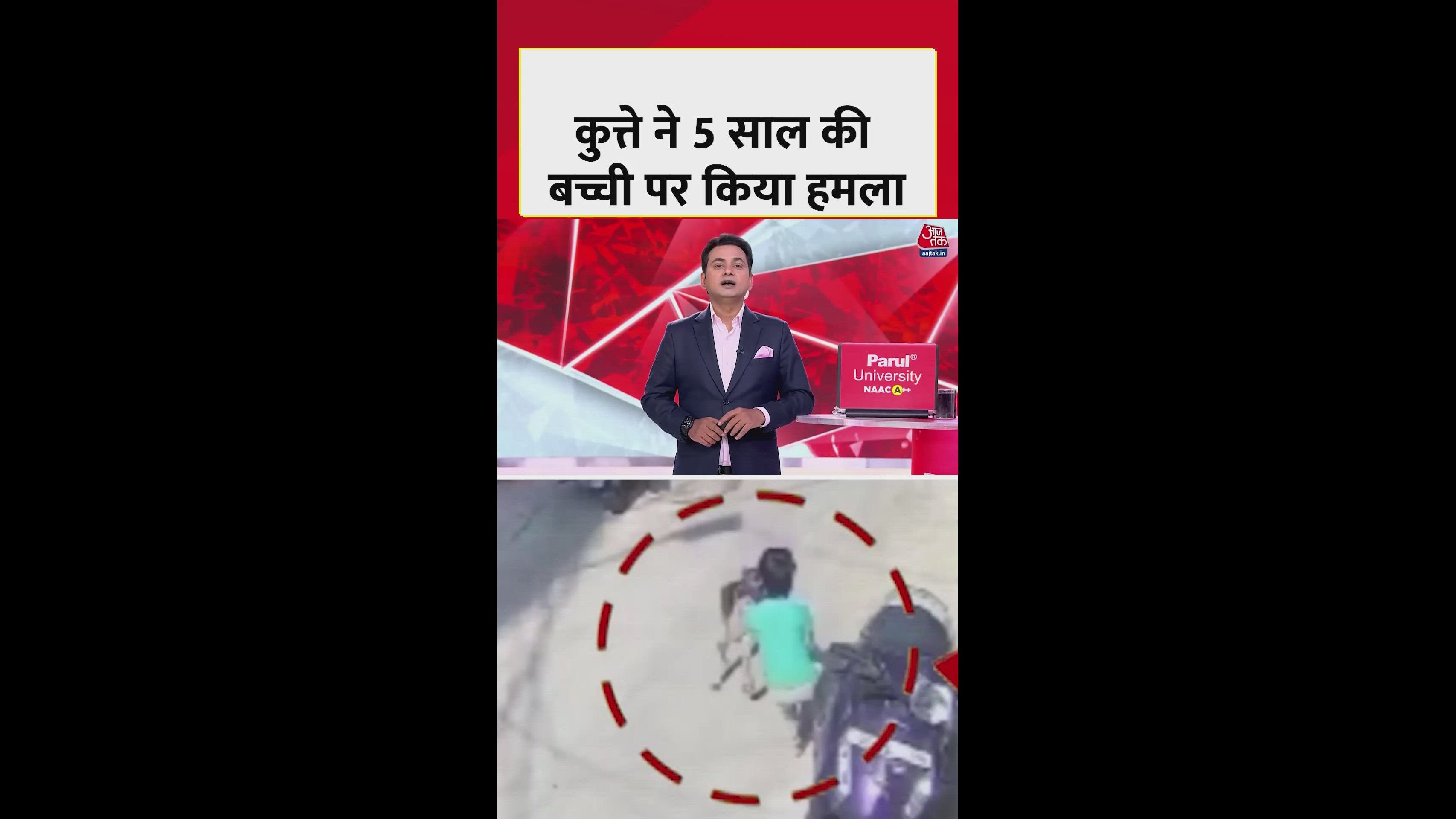 Stray dogs attack continues in Hyderabad