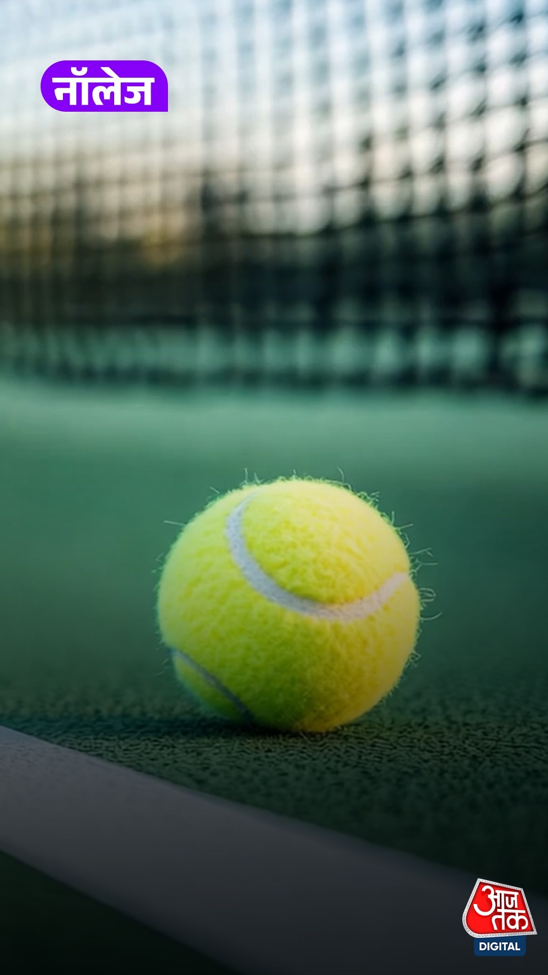 Plane में सफर करते हुए बैग में क्यों रखनी चाहिए, Tennis Ball?