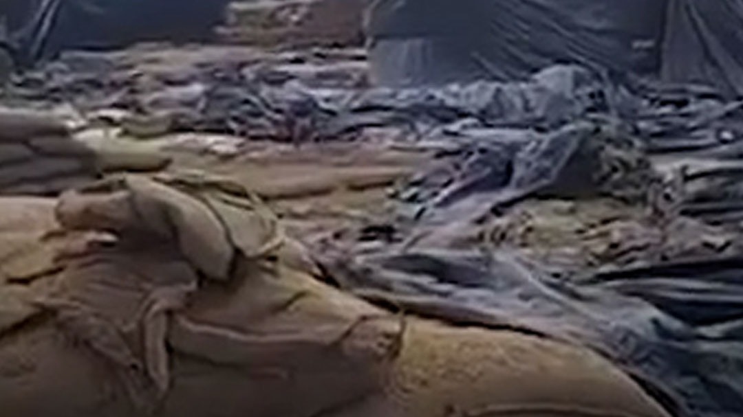 in chattisgarh Kawardha rats ate paddy worth 7 crore